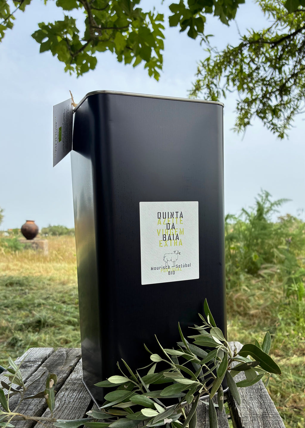 Bidons Huile d'olive extra vierge biologique  5 Litres