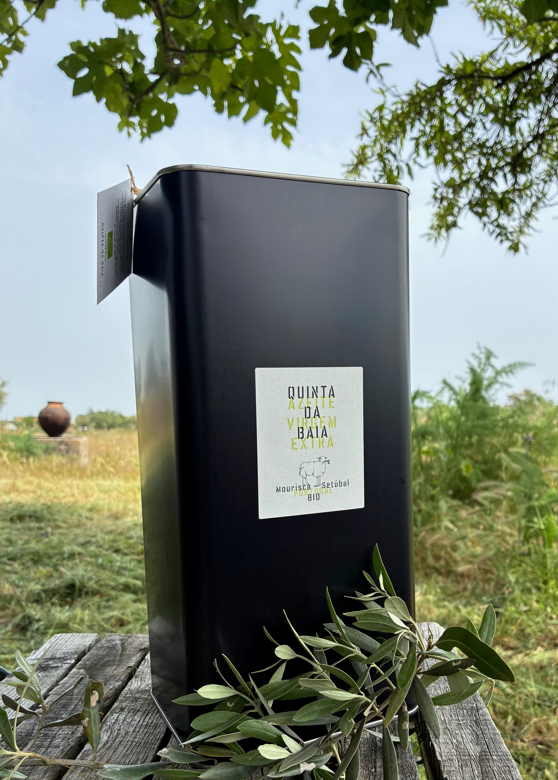 Bidons Huile d'olive extra vierge biologique  5 Litres