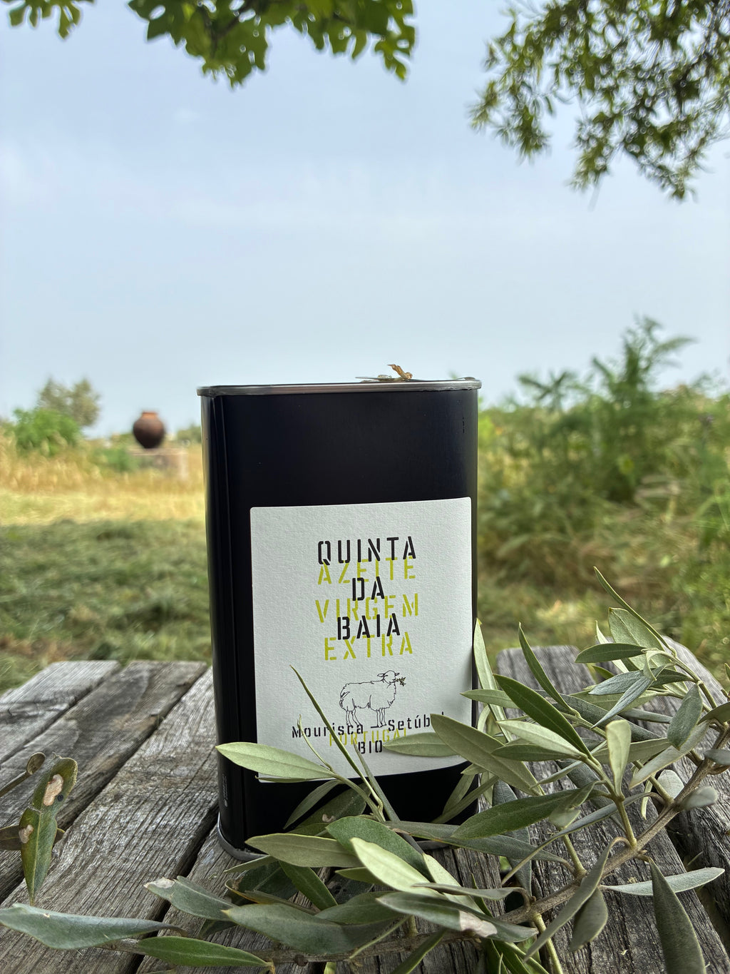 Bidons Huile d'olive extra vierge biologique  50 cl (x4)